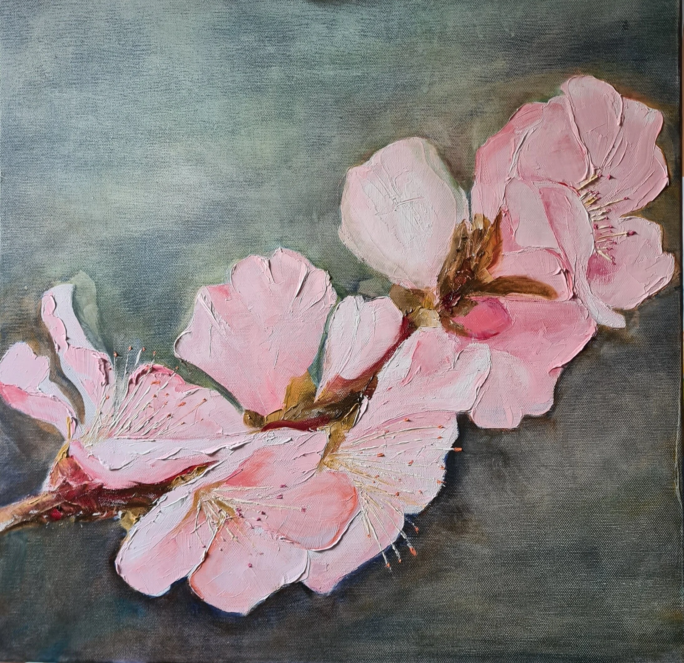 almond blossom trial