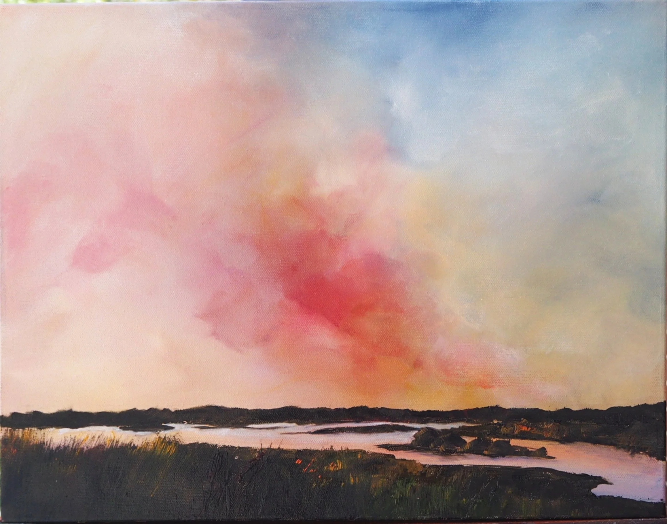 Gilding the Wetlands 1, Charlesworth Wetland