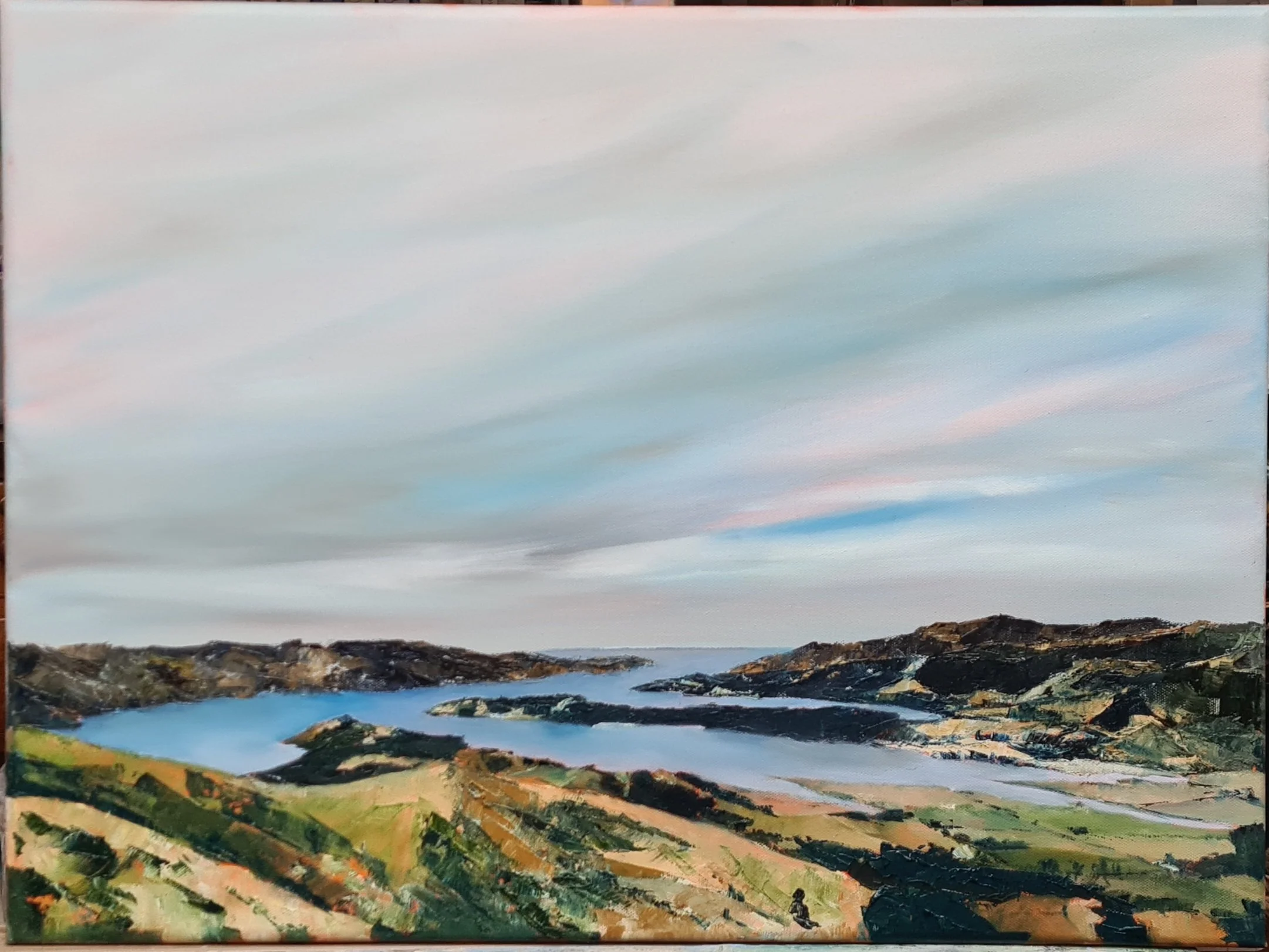 Lyttleton Harbour from Geddies Pass