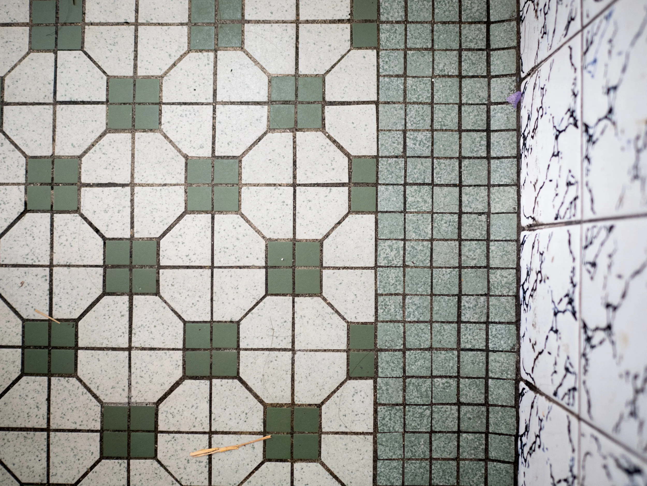P1000288.jpg