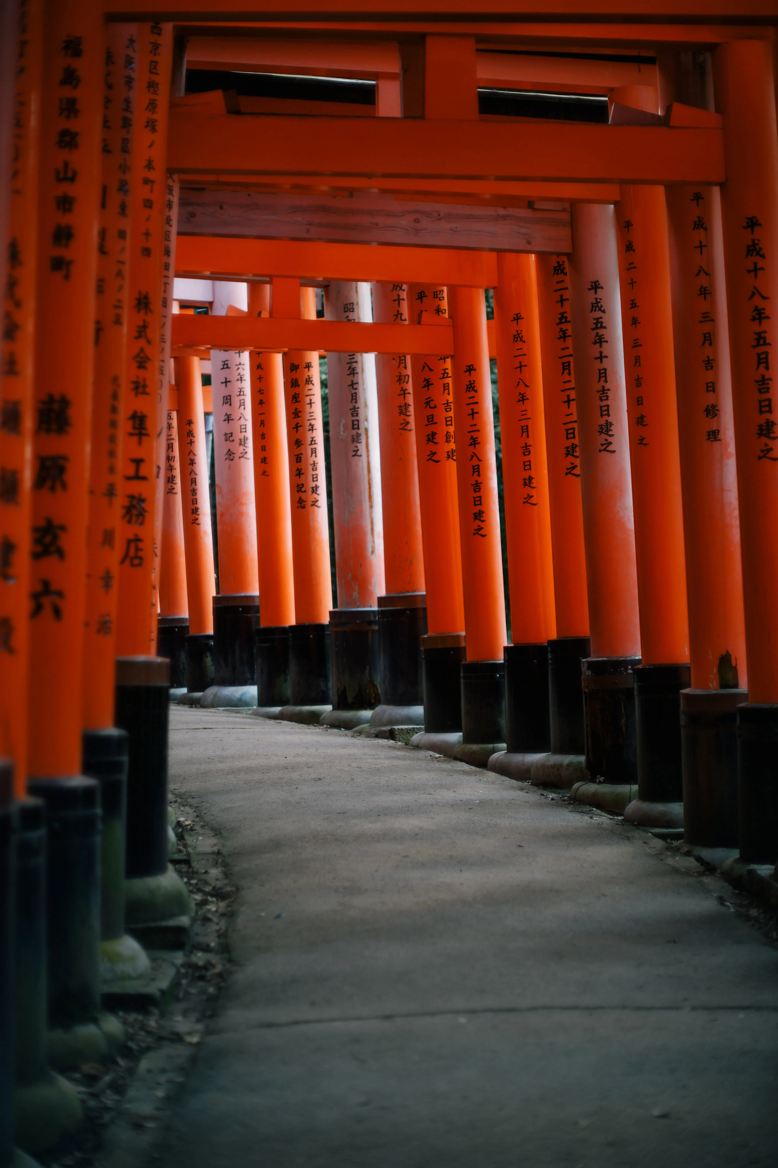 DSC01409.jpg