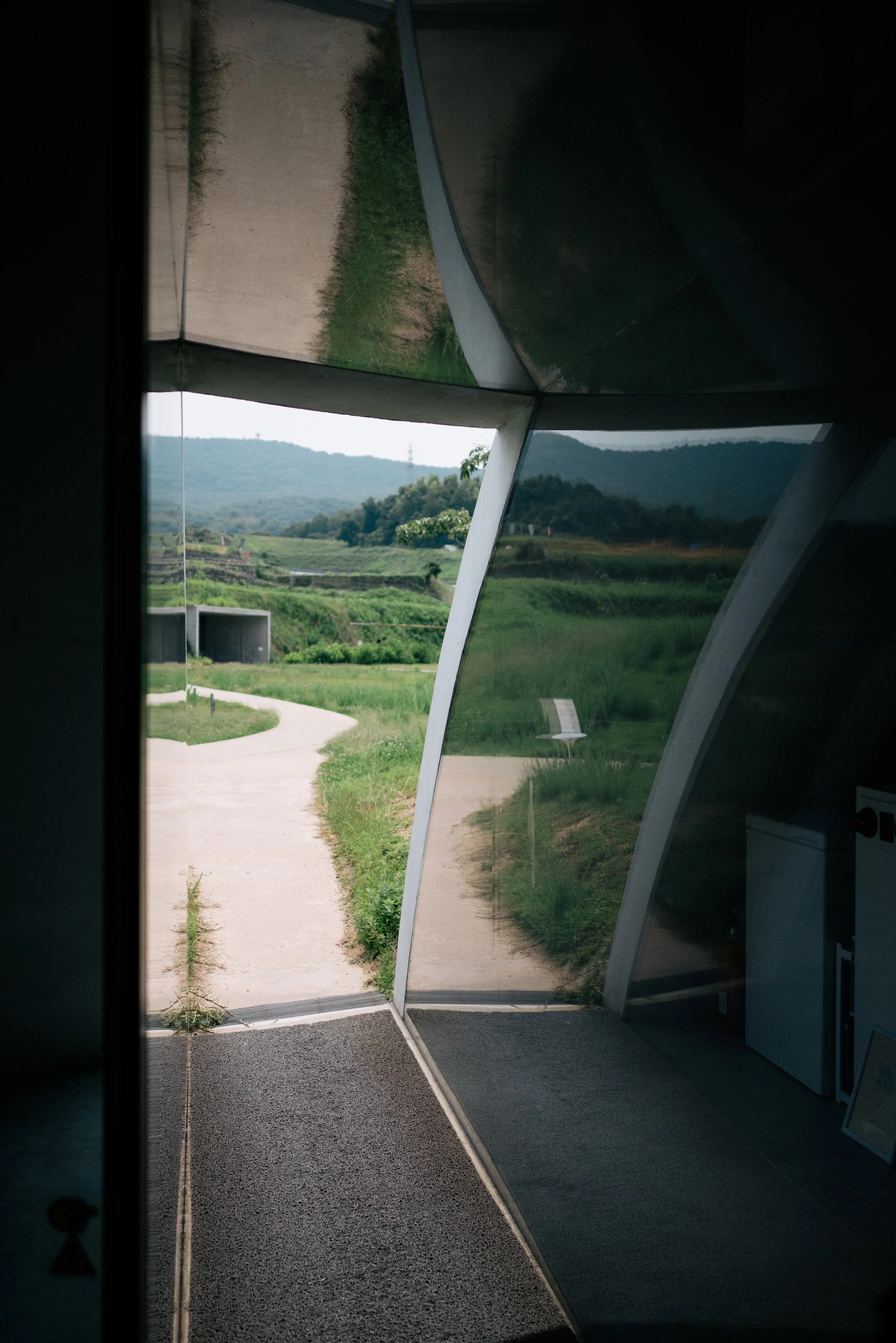 P1000233.jpg