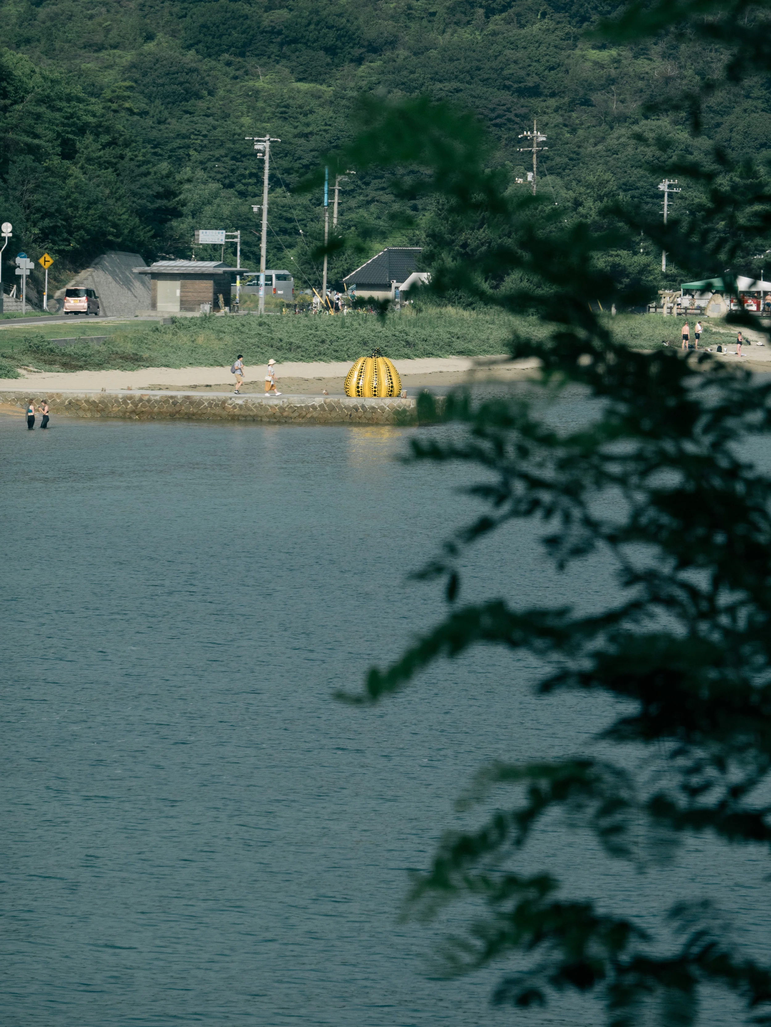 P9730846.jpg