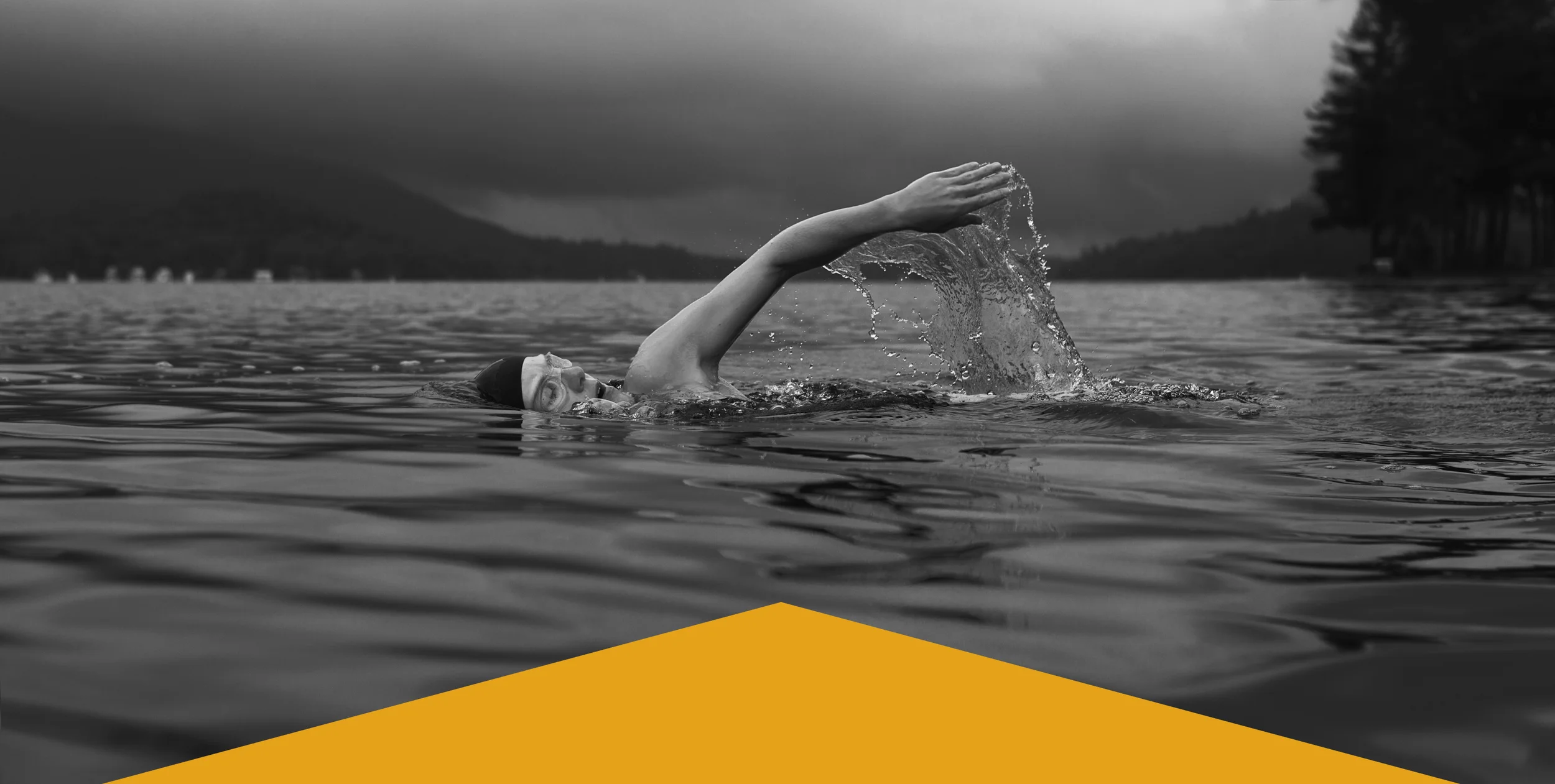 Main Banner Paragon Private Wealth v4.jpg