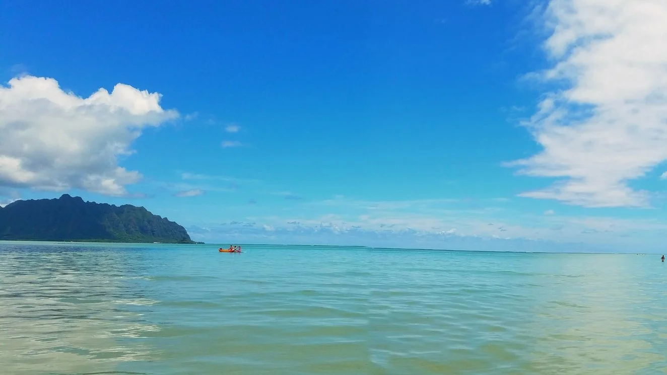 20160603_111538.jpg