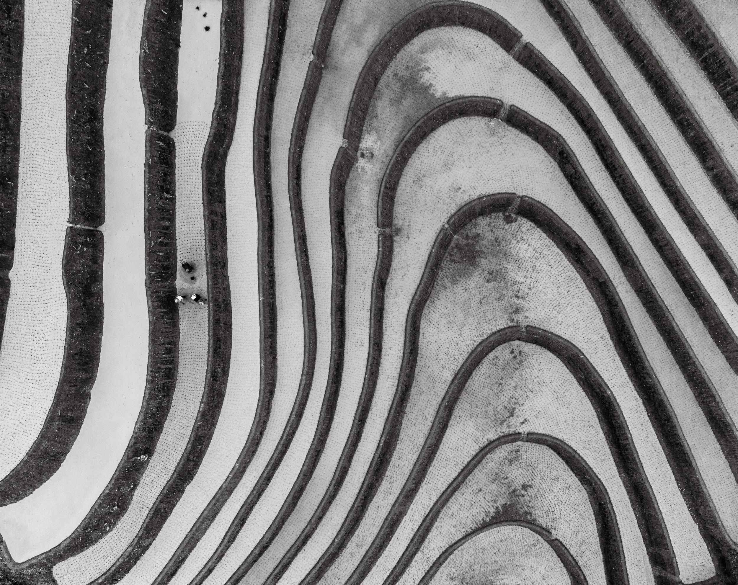 DJI_20240618104422_0450_D.jpg