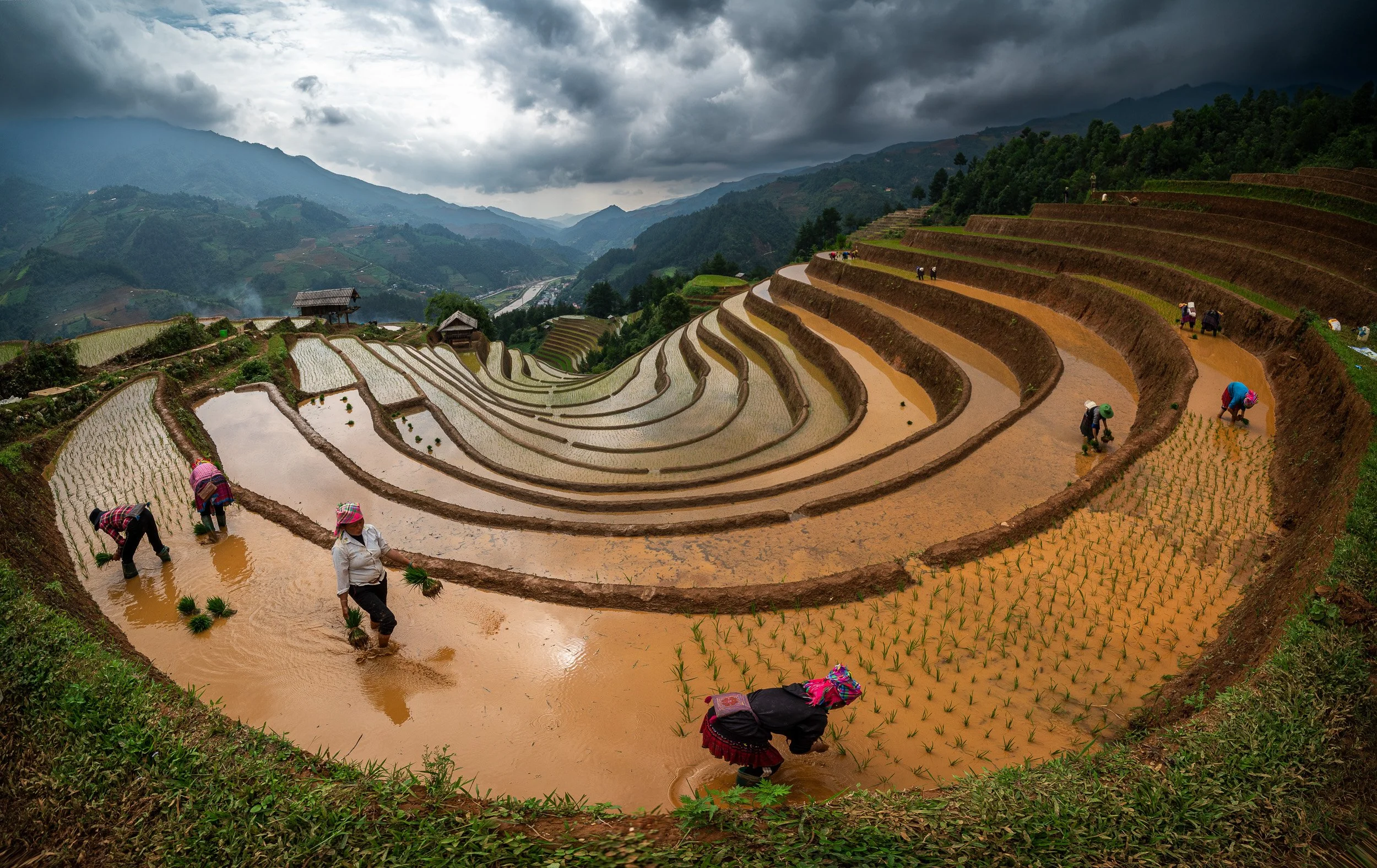 _RML5489-Pano.jpg