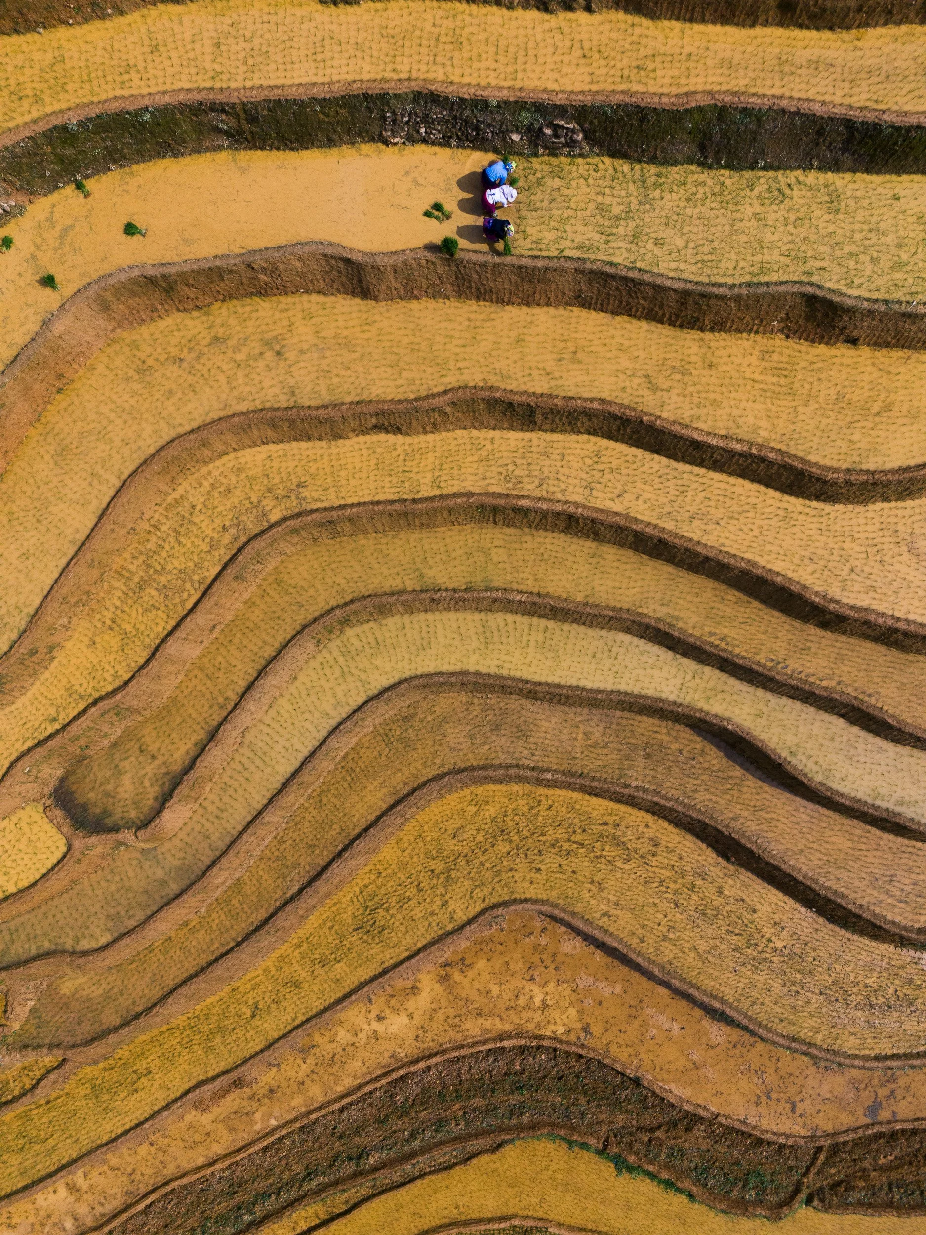 DJI_20240617092627_0313_D.jpg