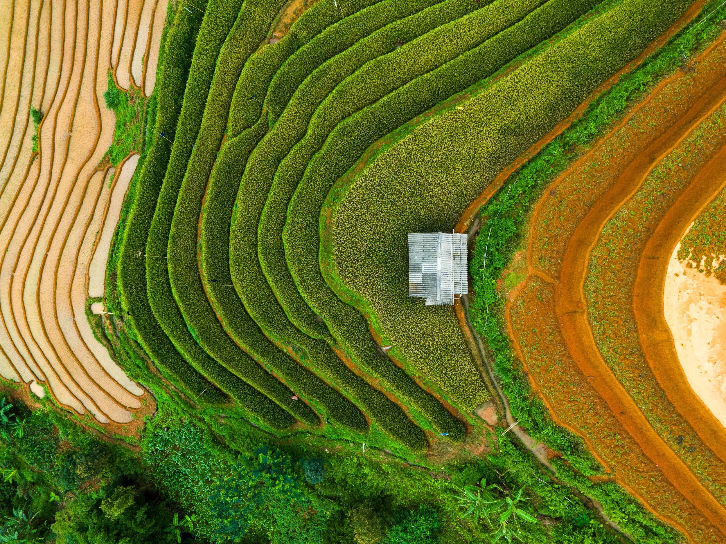 DJI_20240617053545_0274_D.jpg