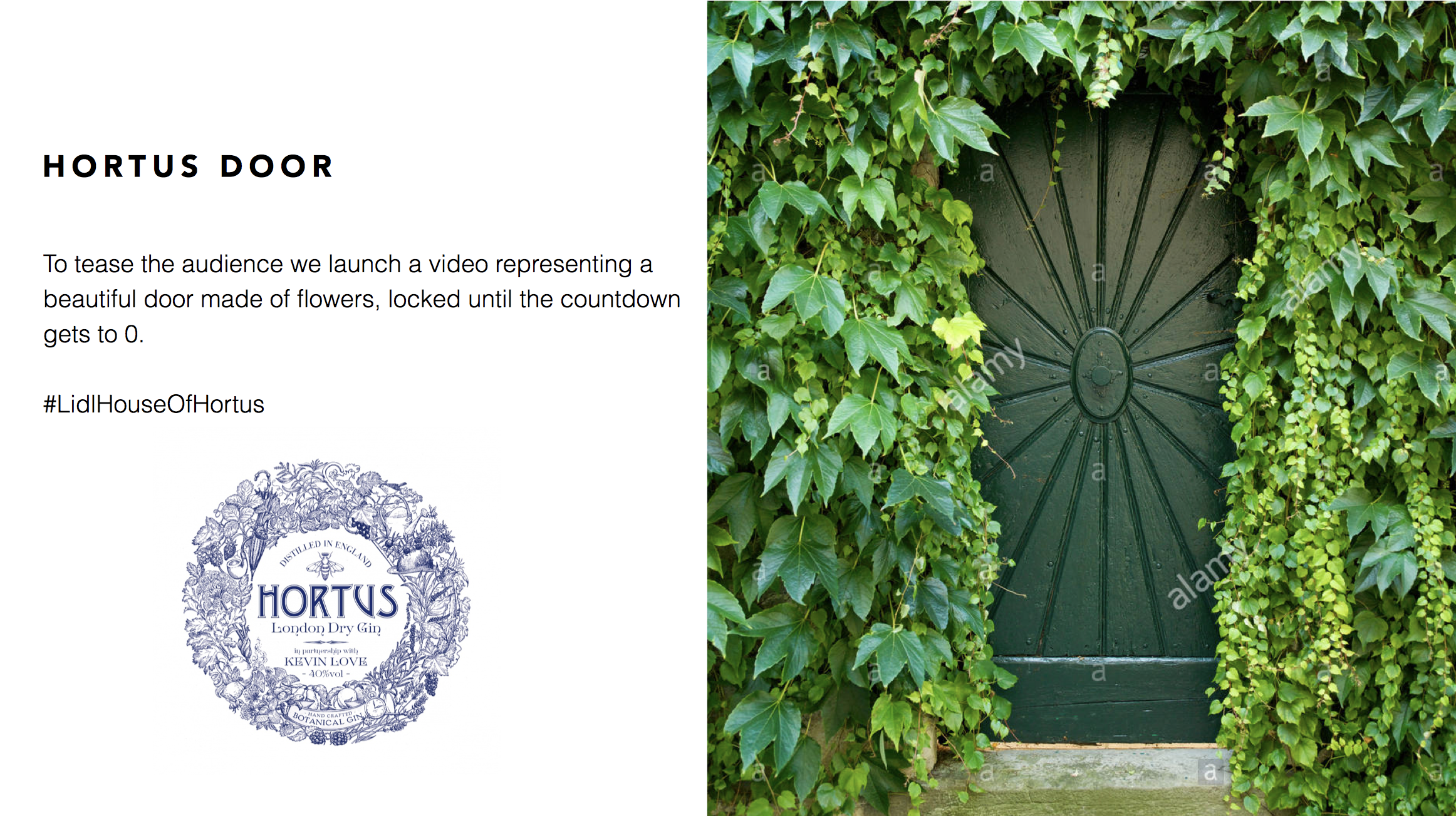 These are the slides that were presented to the client 