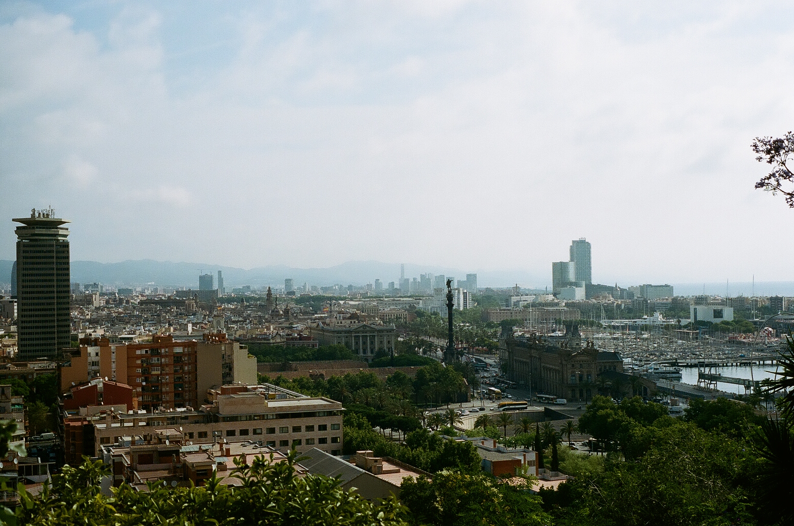 47690016.jpg