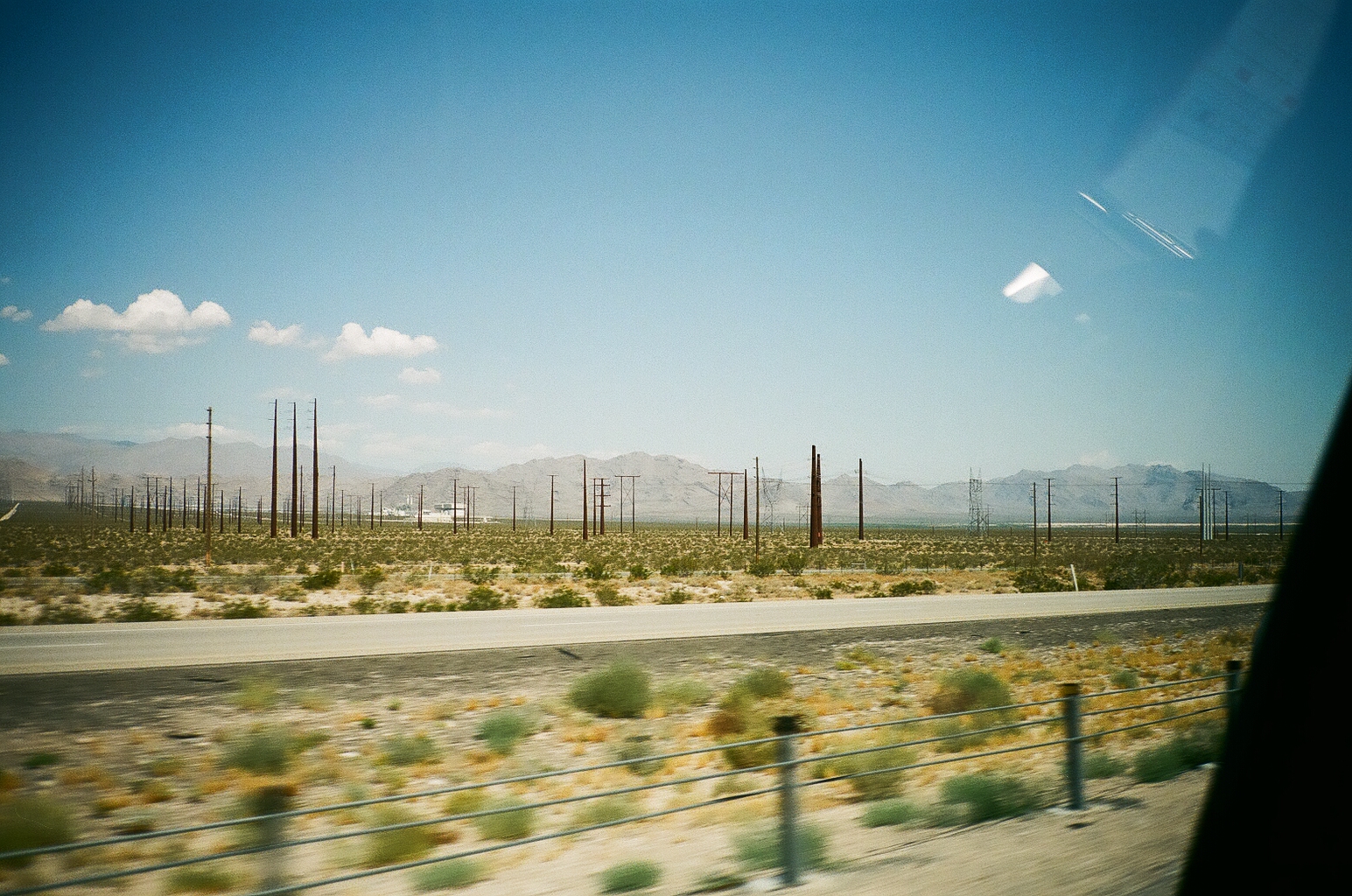 83950015.jpg