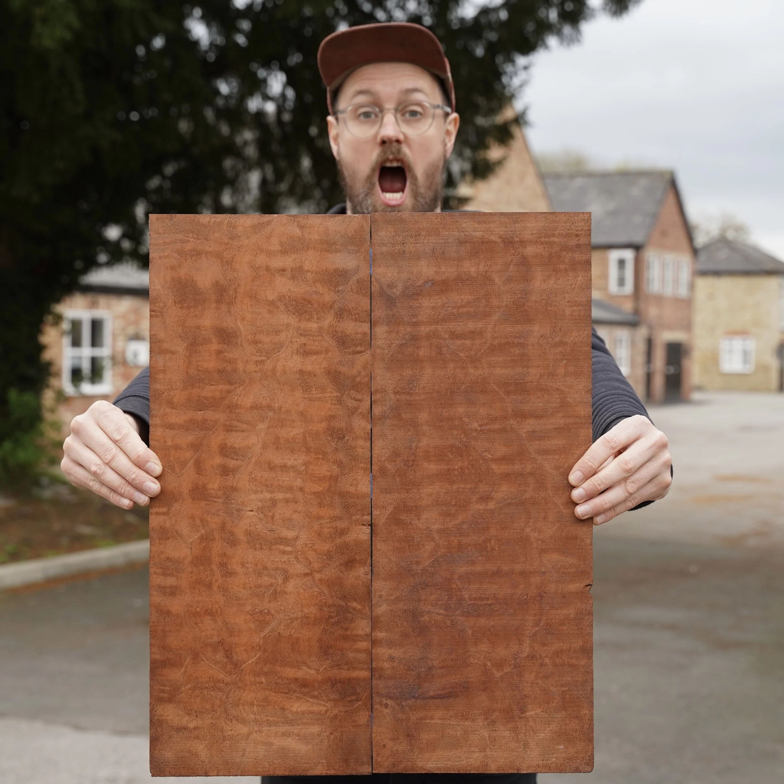 The Tree Mahogany.JPG