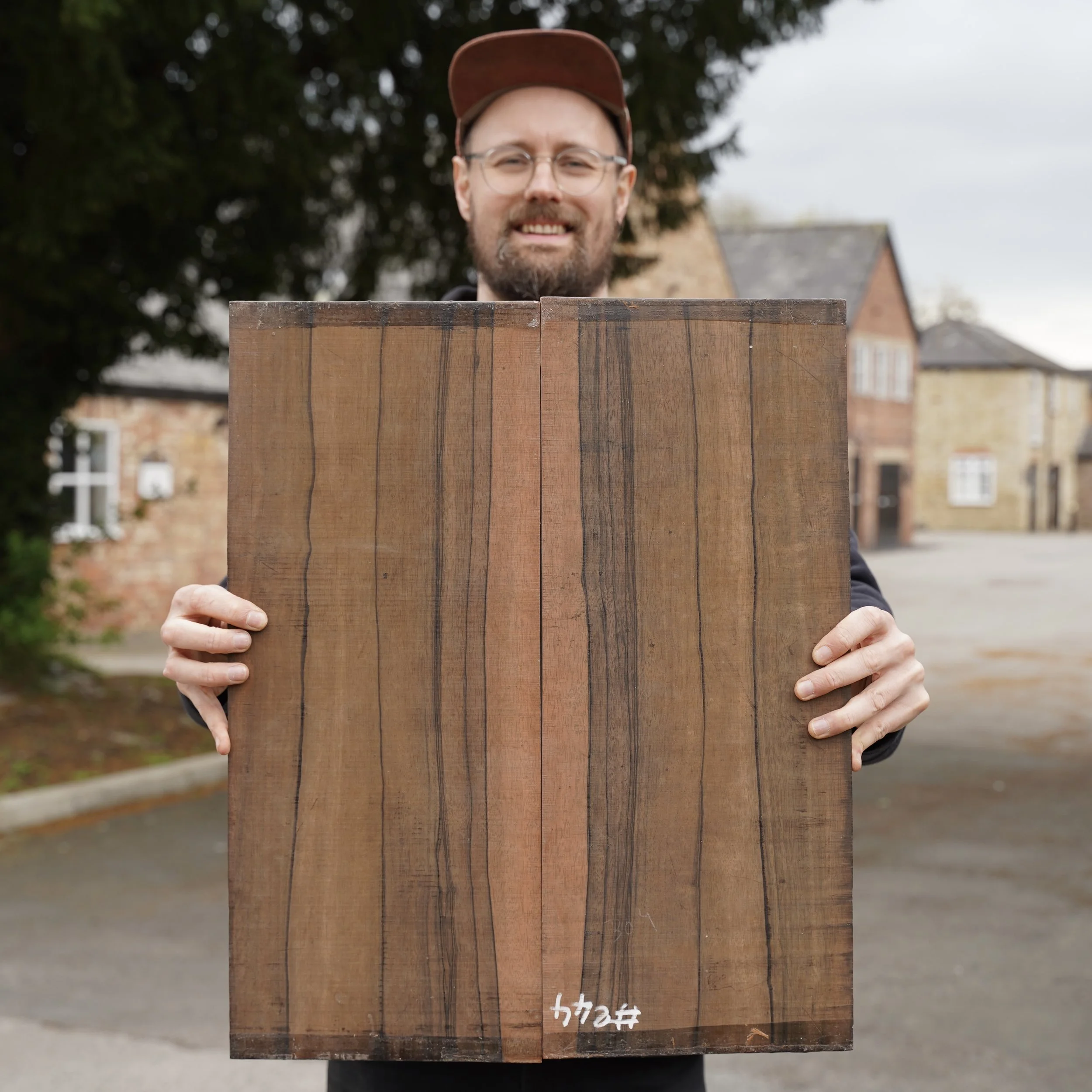 Malaysian Blackwood.JPG