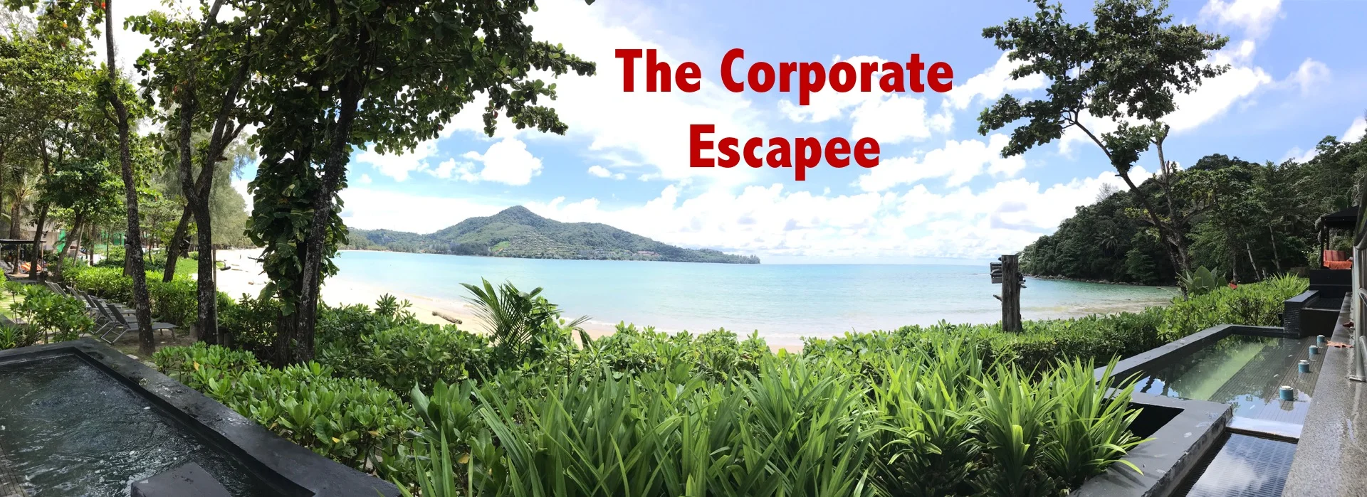 Andrew Ford, Social star, BYOB