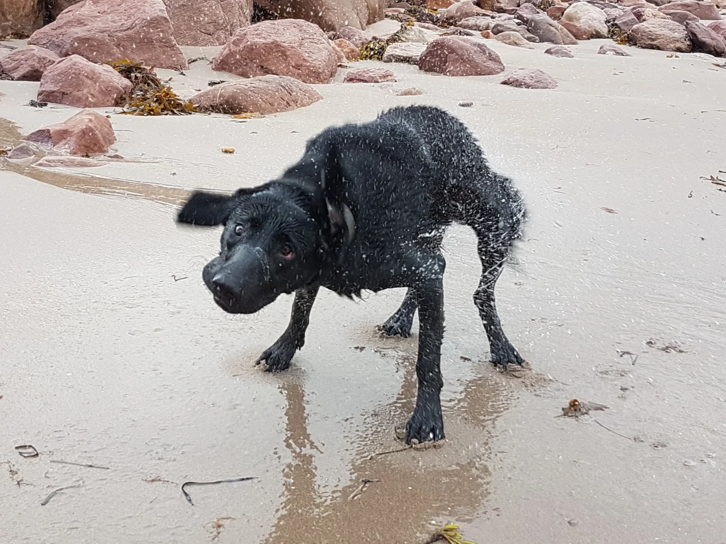 20180917_090613.jpg