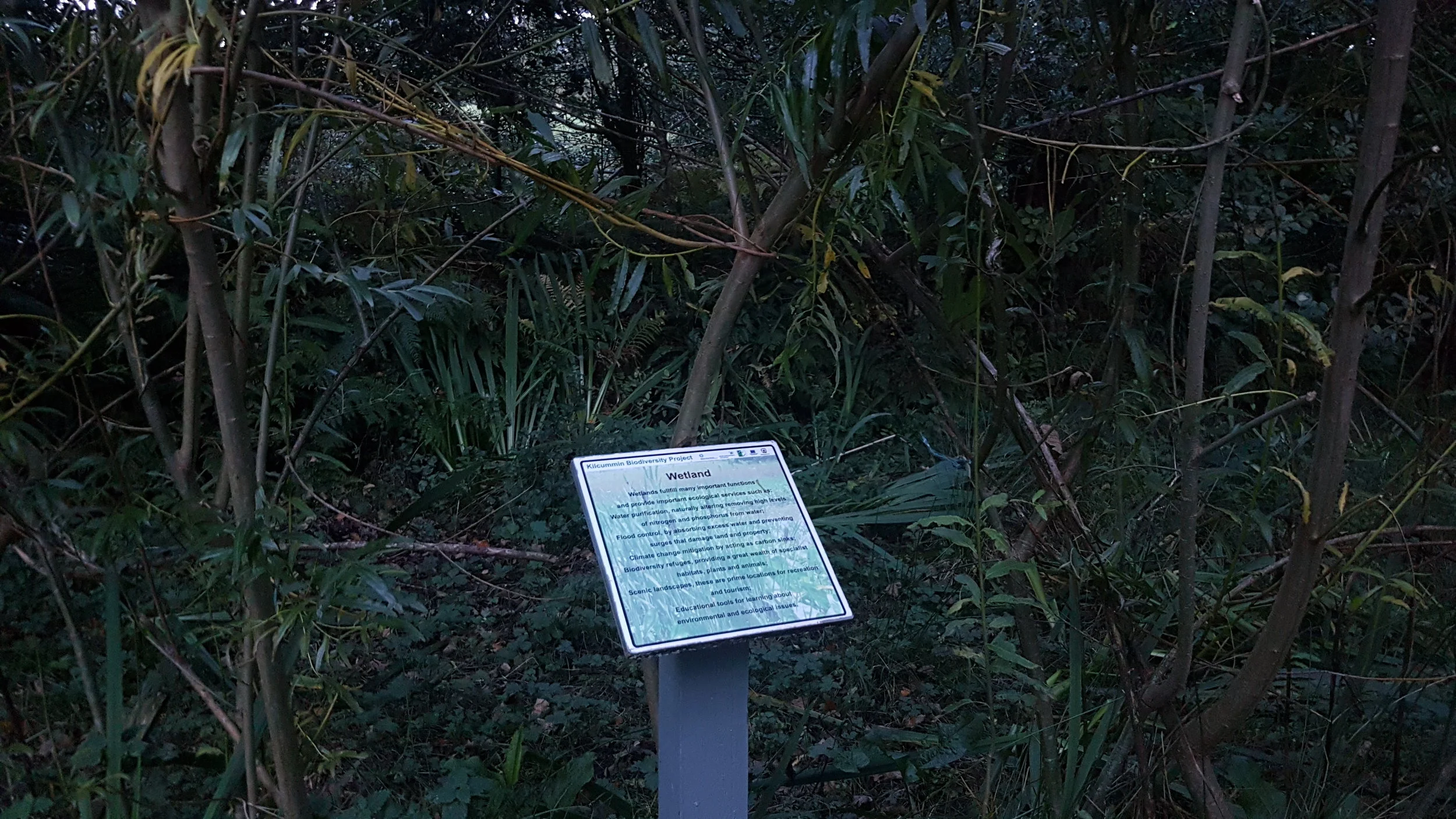 20181011_184612.jpg