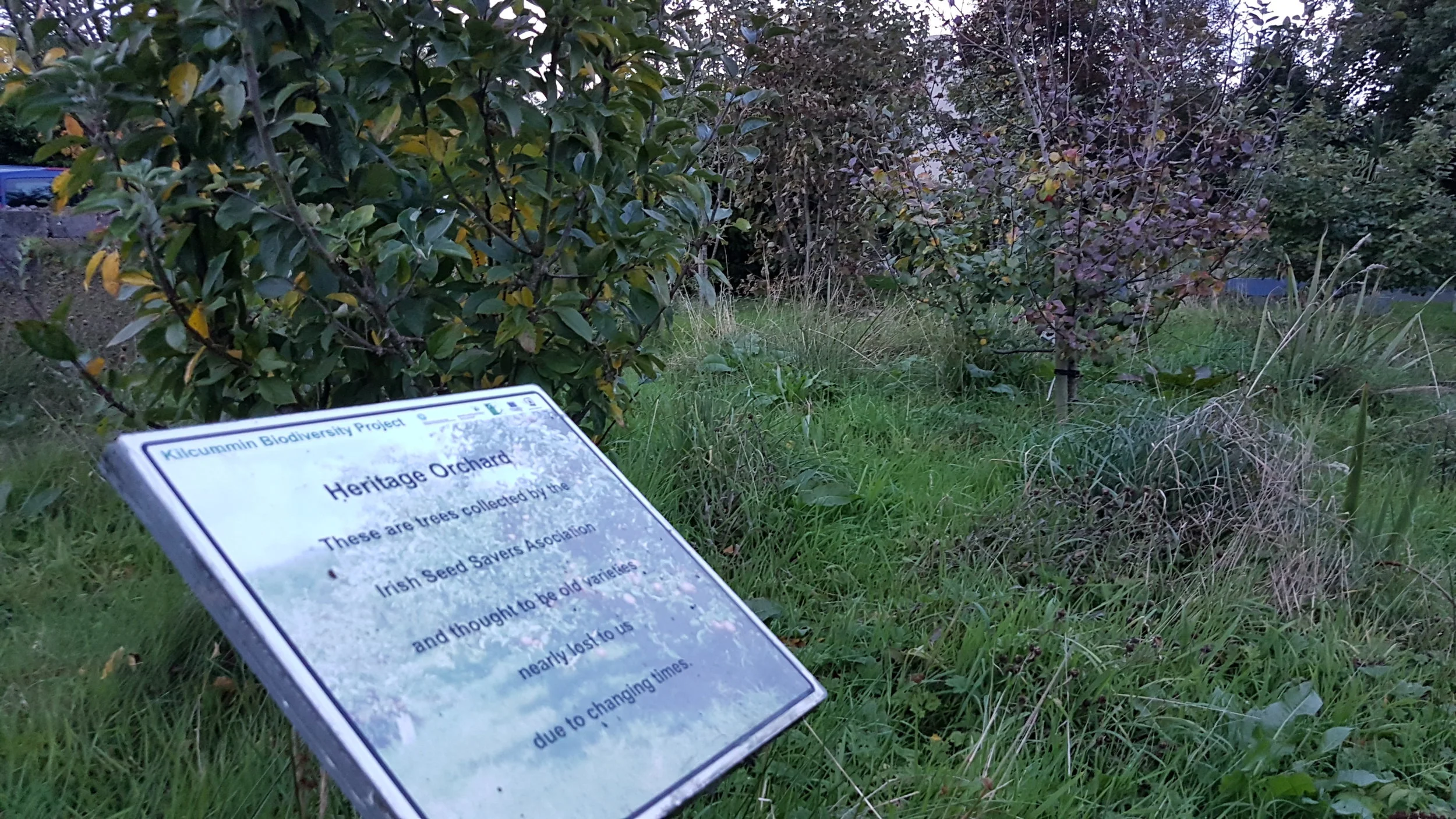 20181011_185537.jpg