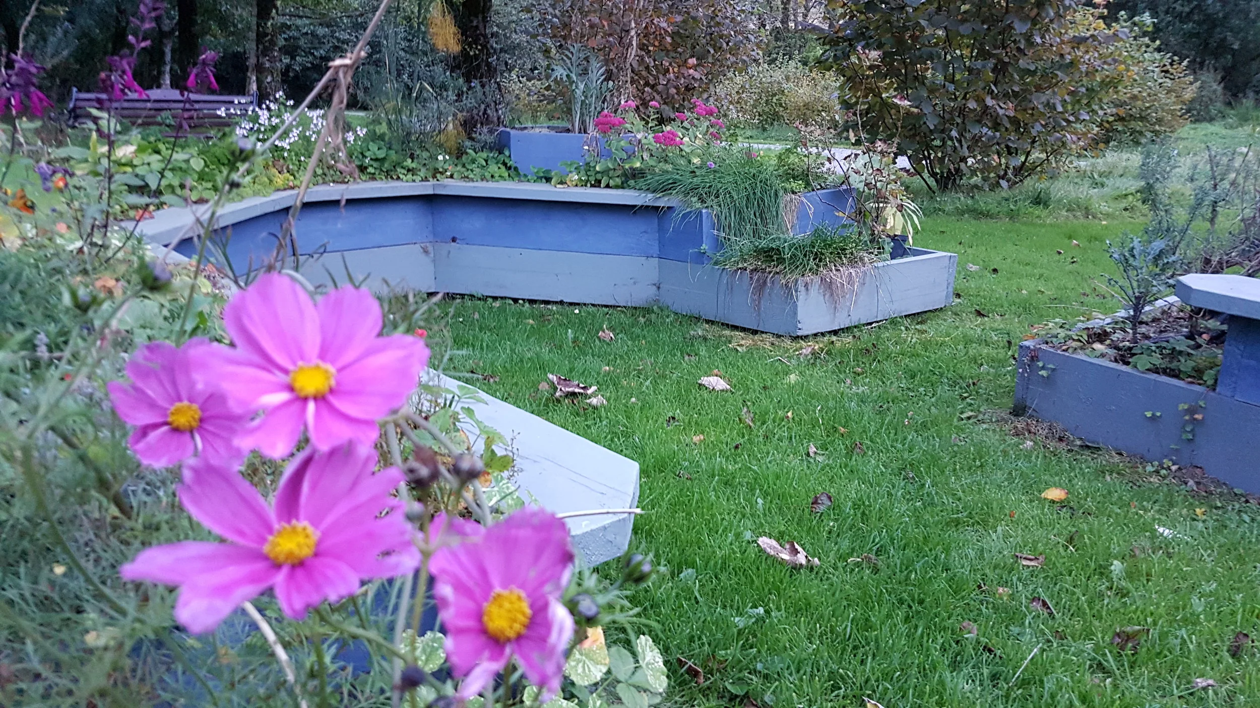 20181011_185632.jpg