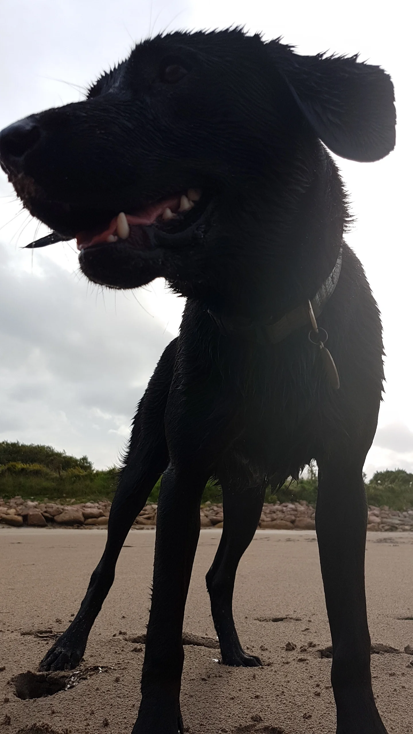 20180919_164717.jpg