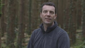 Why we plant trees 01