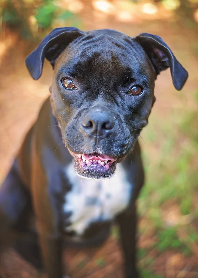We didn't use any bight background for this cute girl, but she still stands out. Using a shallow depth of field (in this case, f/1.8) really helps separate them from the background. You can see the sky reflecting in her eyes, helping them to pop in the photo. Again, she's in the shade, facing the light. 