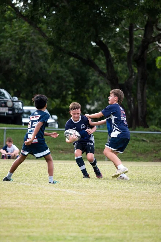 Webb & Flow | PORTFOLIO, Casuarina Cougars Rugby Union