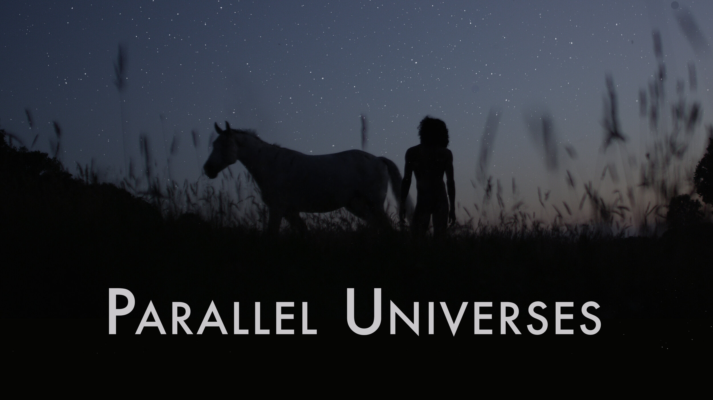 Horse & Title.jpg