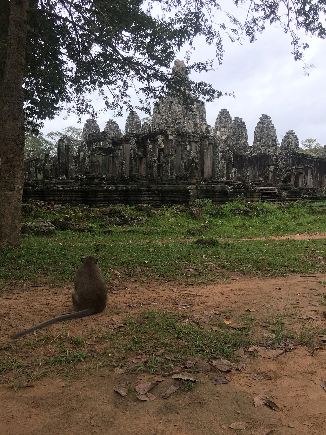 Siem Reap, Cambodia - November 2016