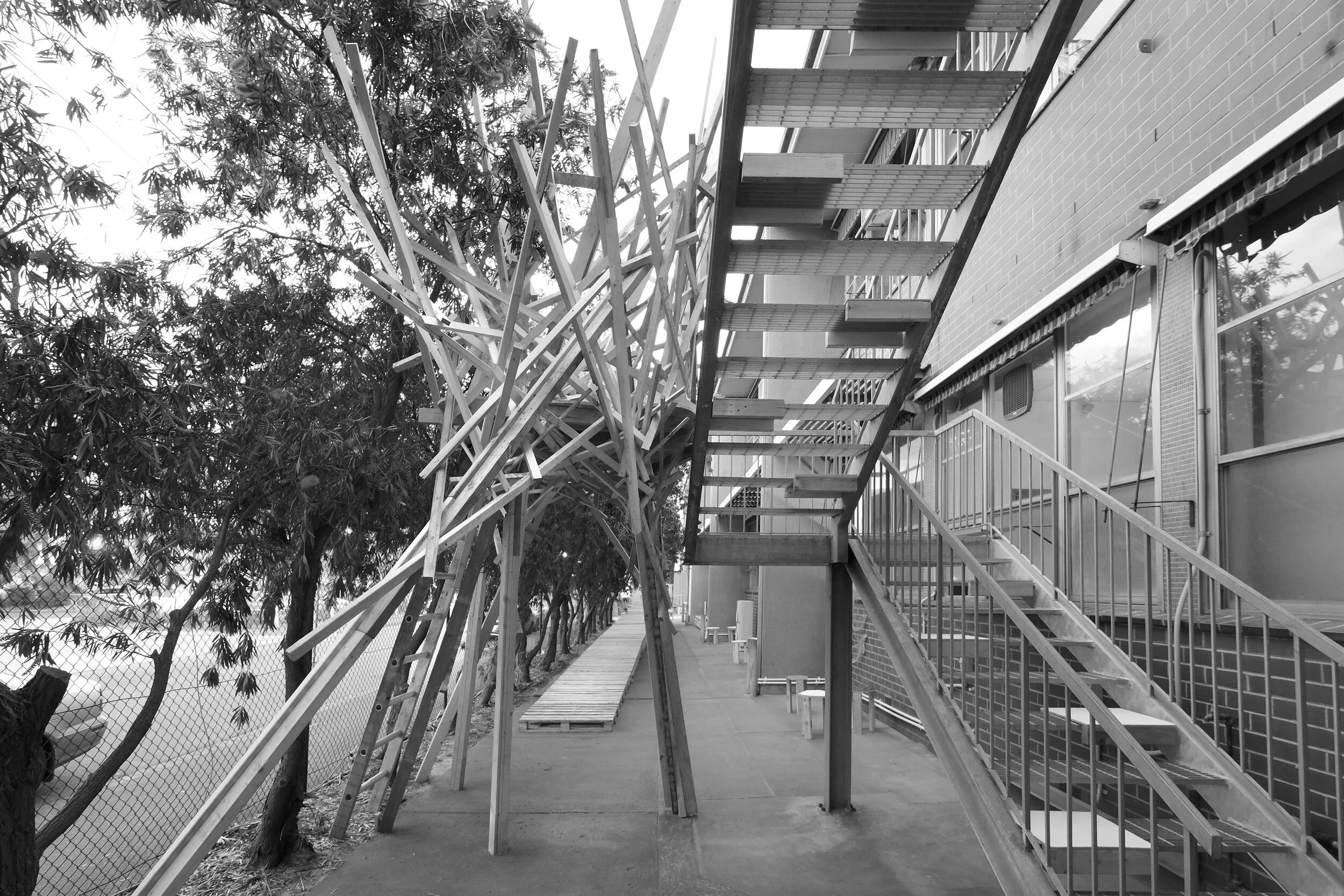 3.02_DSF3806D_Nest BW.jpg