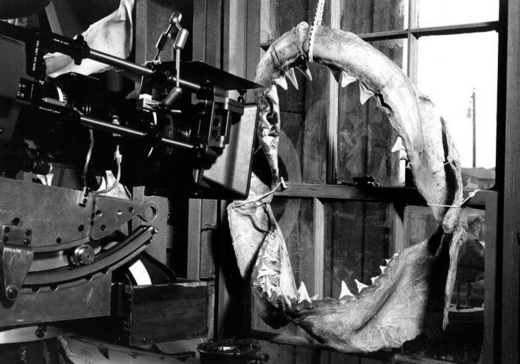 behind-the-scenes-of-jaws-2.jpg