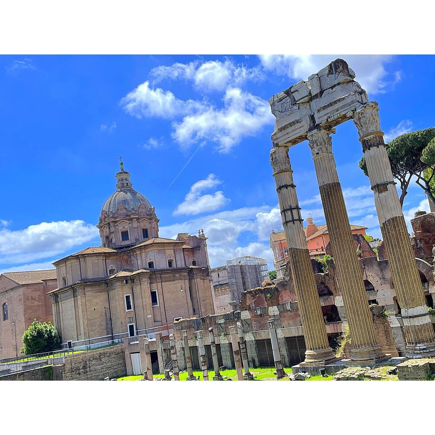 .
Roman ruin relics running rampant 

Rome! 🇮🇹🤯