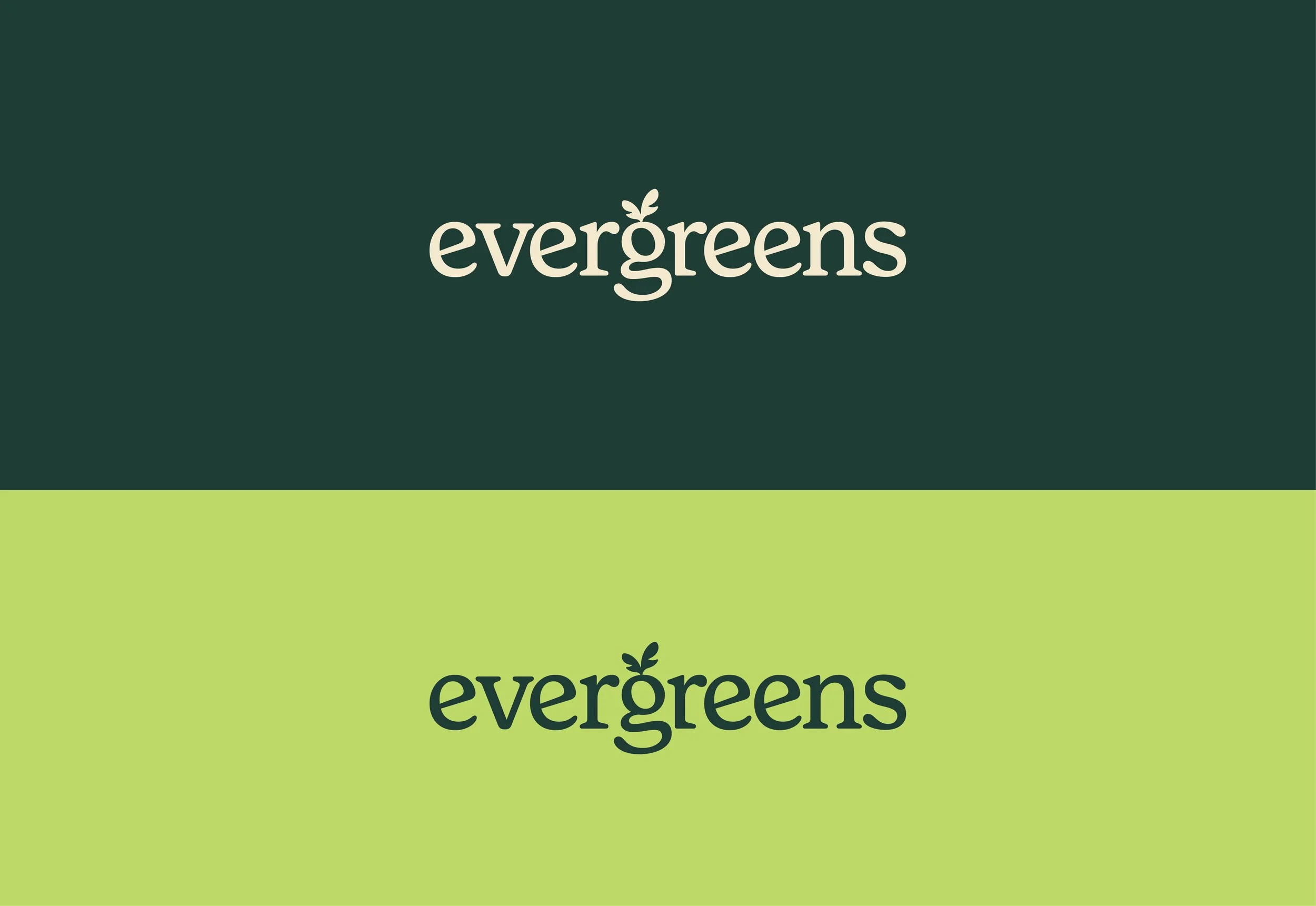 Evergreens_Audit-ReDesign Presentation17.jpg