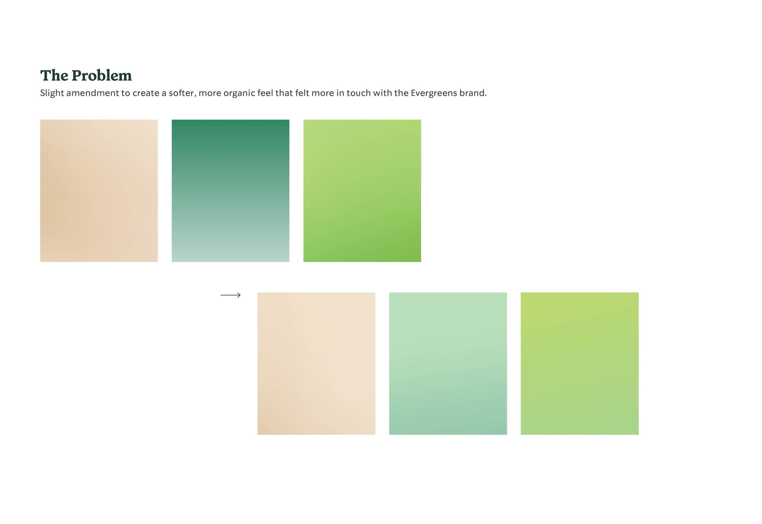 Evergreens_Audit-ReDesign Presentation7.jpg