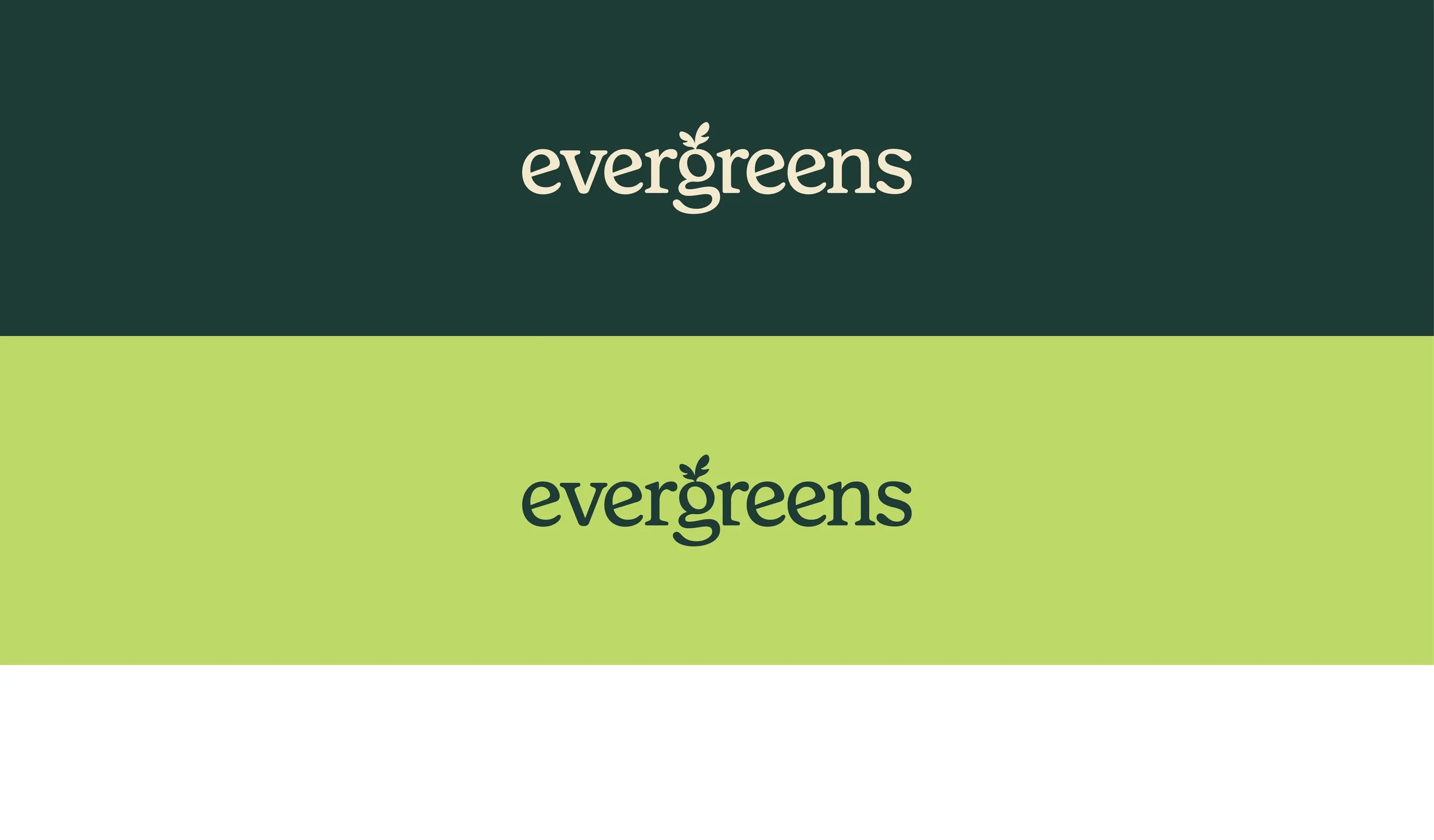Evergreens_Audit-ReDesign Presentation_Updated22.jpg