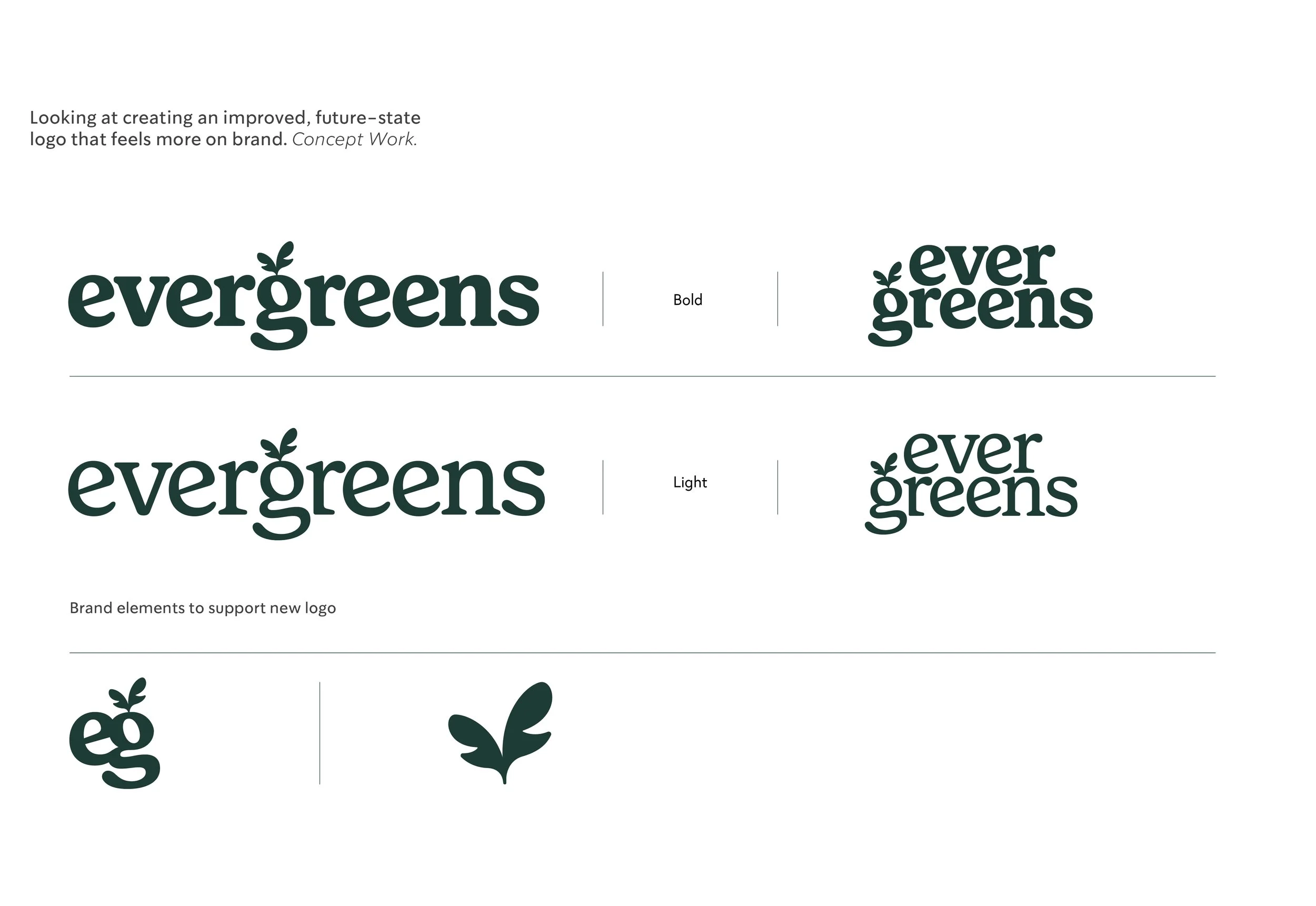 Evergreens_Audit-ReDesign Presentation_Updated21.jpg