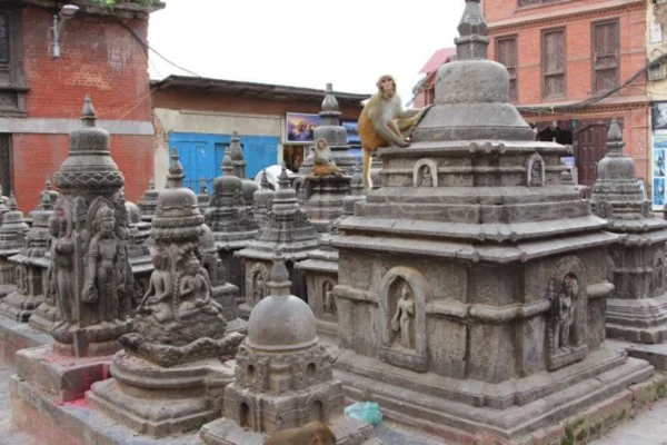 nepal 1.jpeg