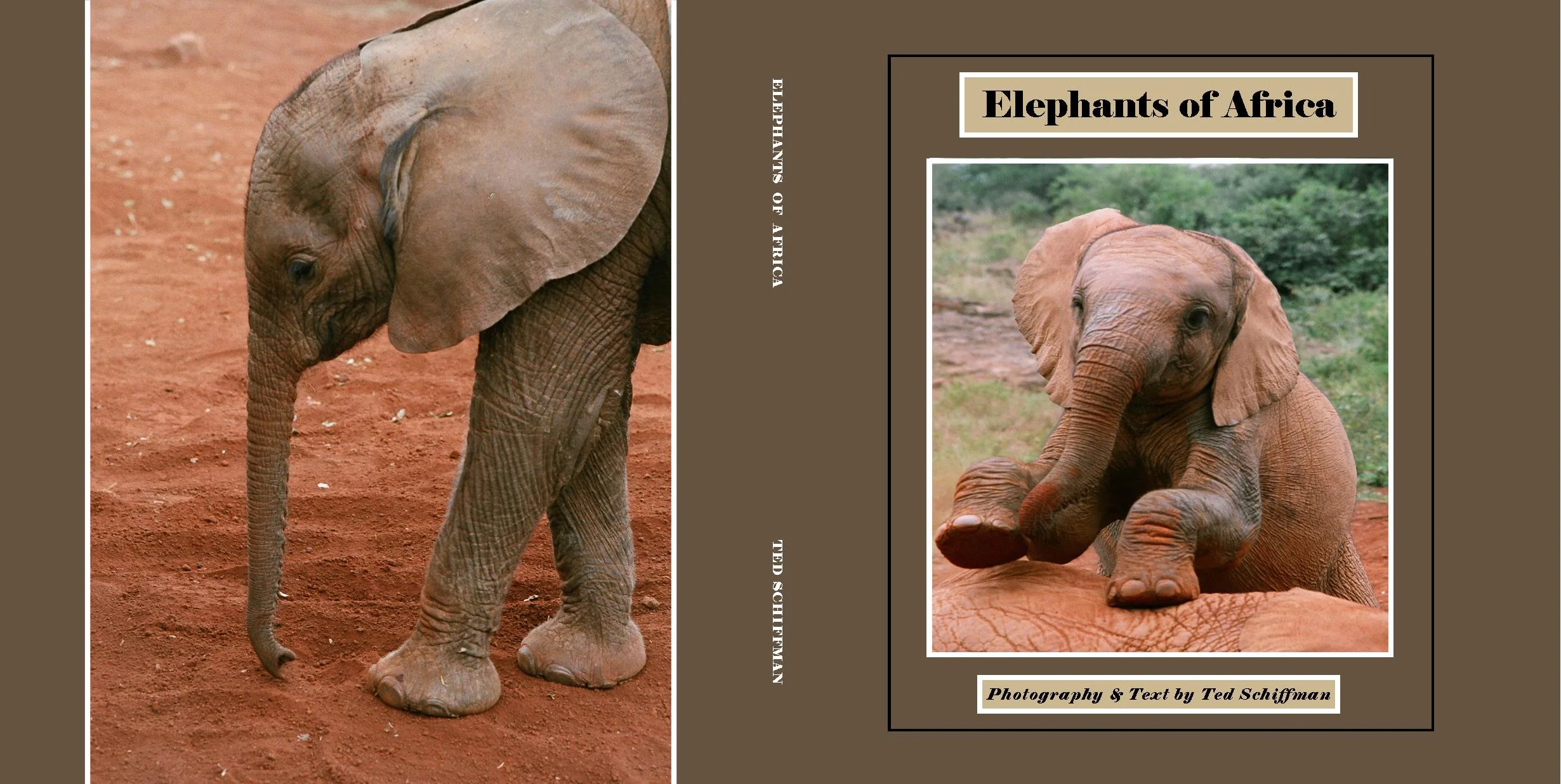 Elephants of Africa cover final without  bar code.jpg