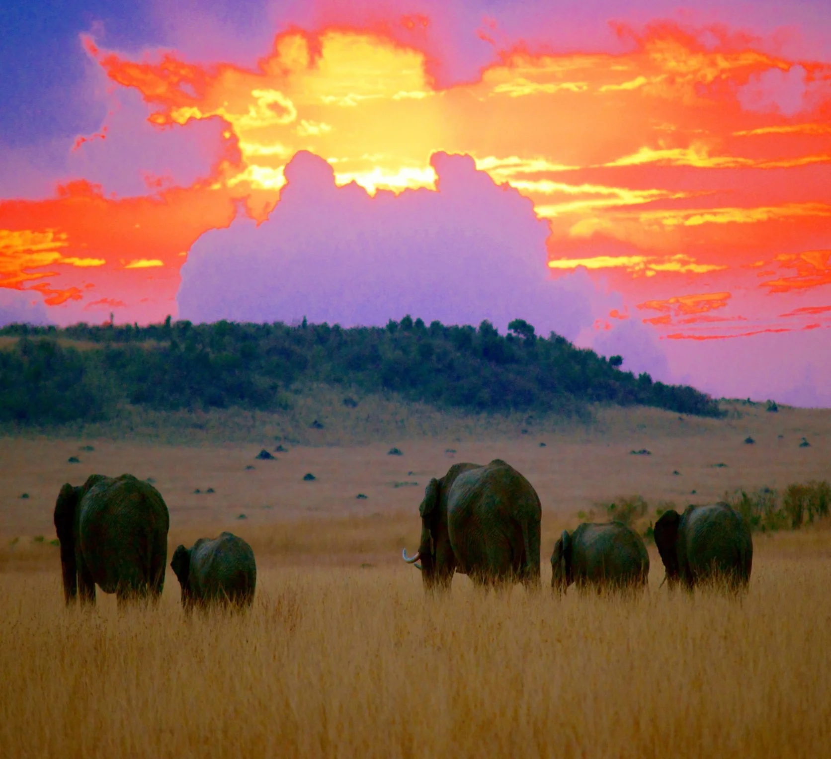 Africa, A Timeless Journey