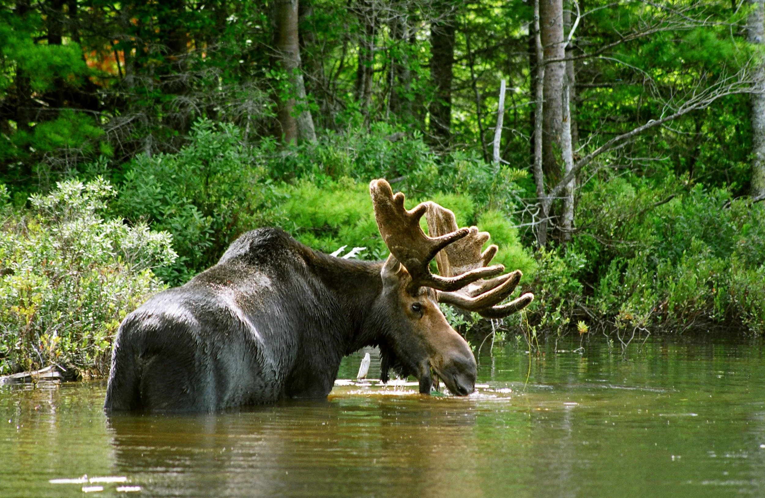 Breakfast corrected Re-touched.jpg