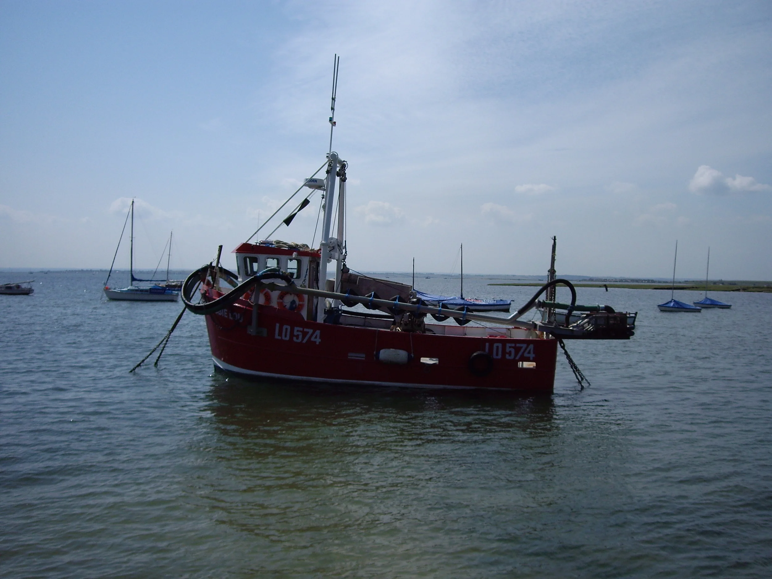 Ilva 031.jpg