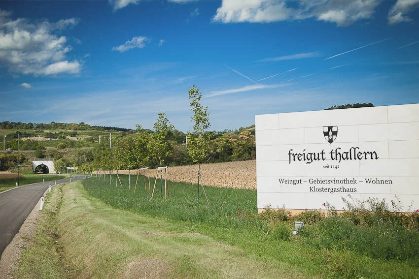 Charity Weinlese Freigut Thallern