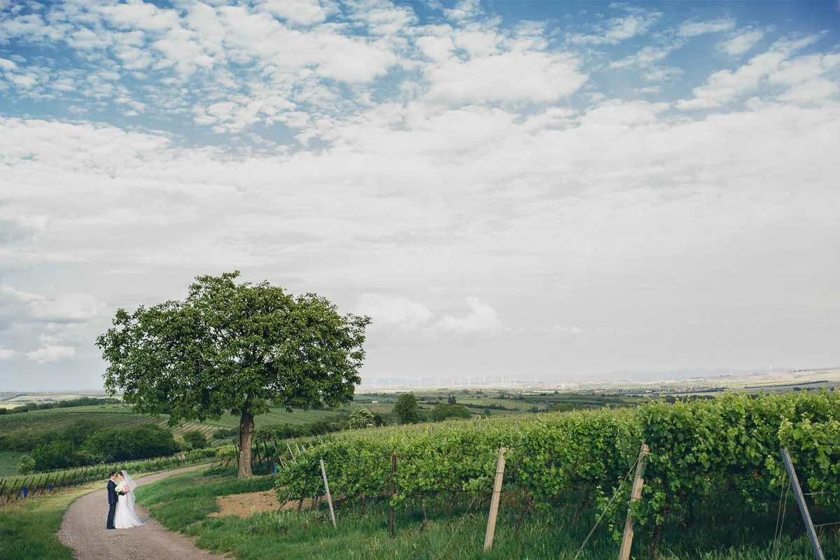 Reichensteinhof Poysdorf: Hochzeit von Alexandra+David