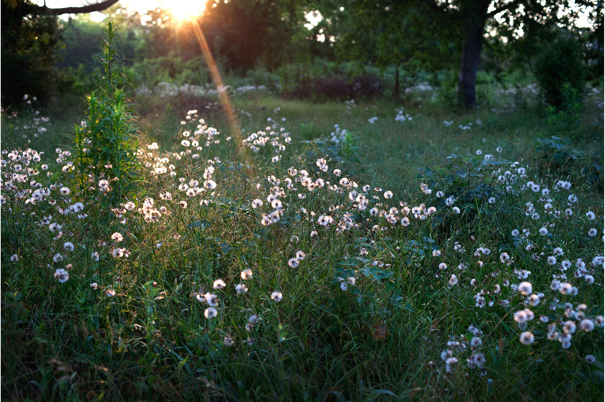 20120507-20120507-_MGJ2597.jpg