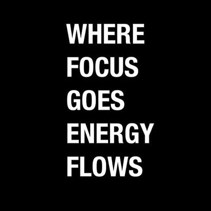 Focus is oh so HIPP!  