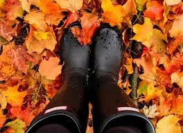 Falling in Love with Fall