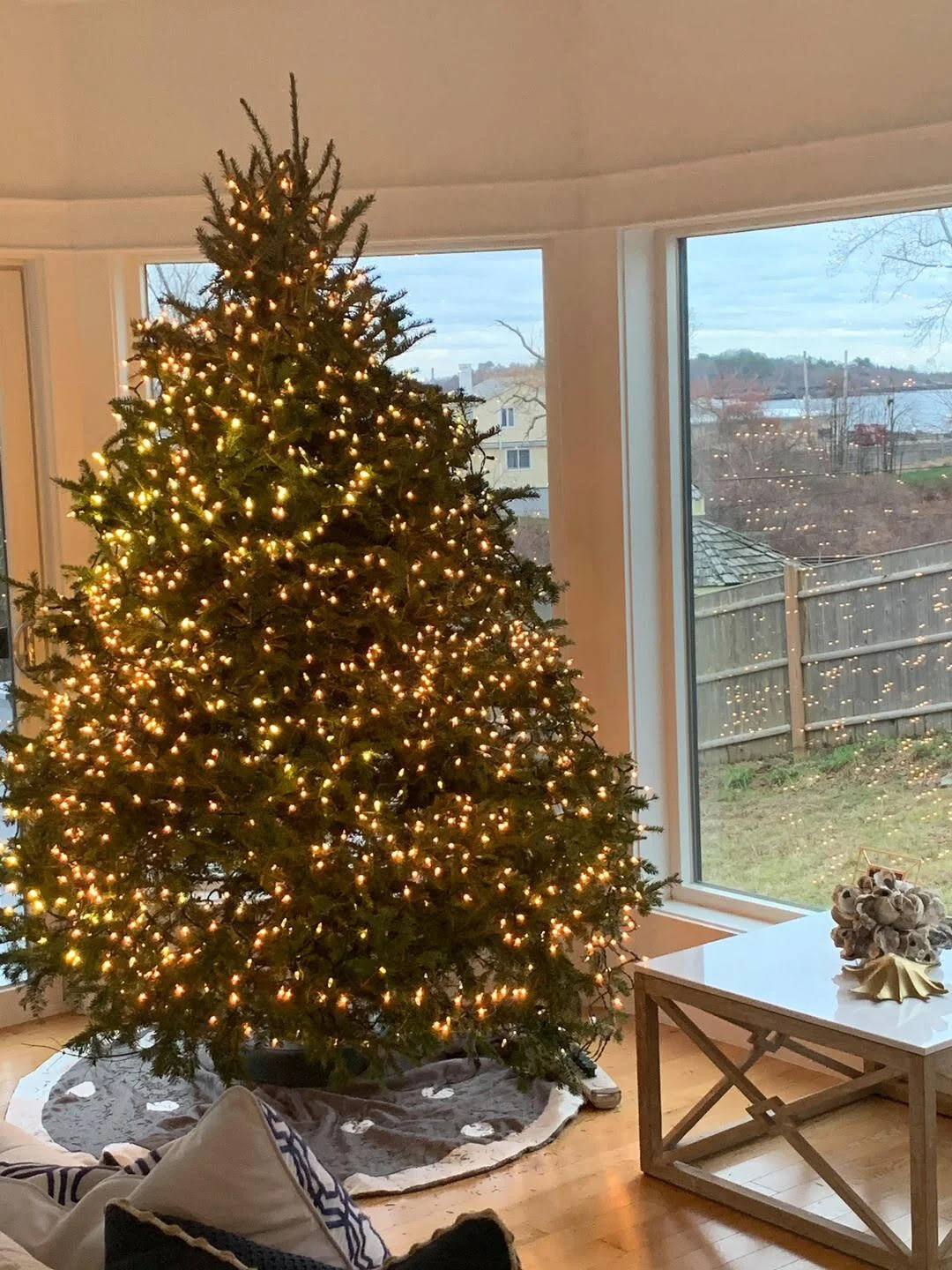 A Spirited Christmas