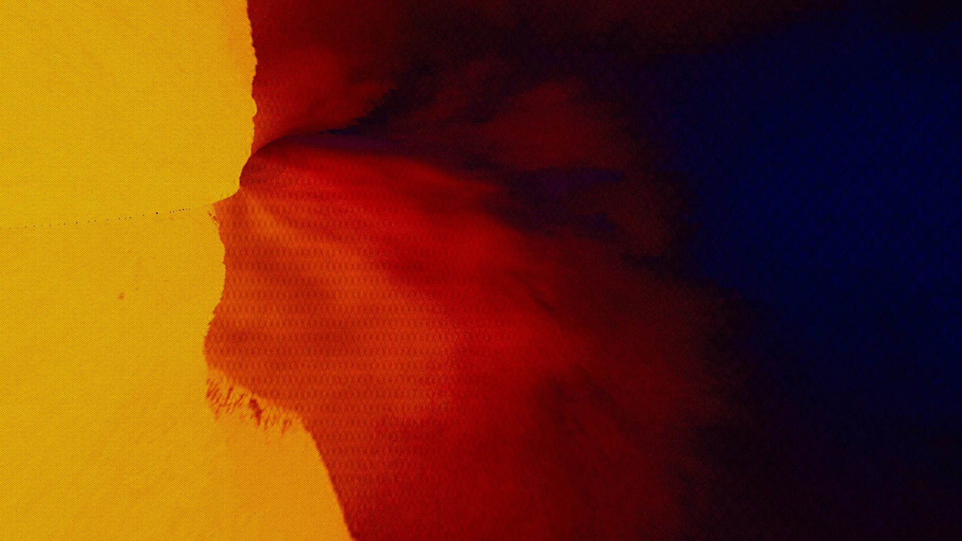 THE AGE OF DIGITAL : ANALOGUE STILL_7.jpg