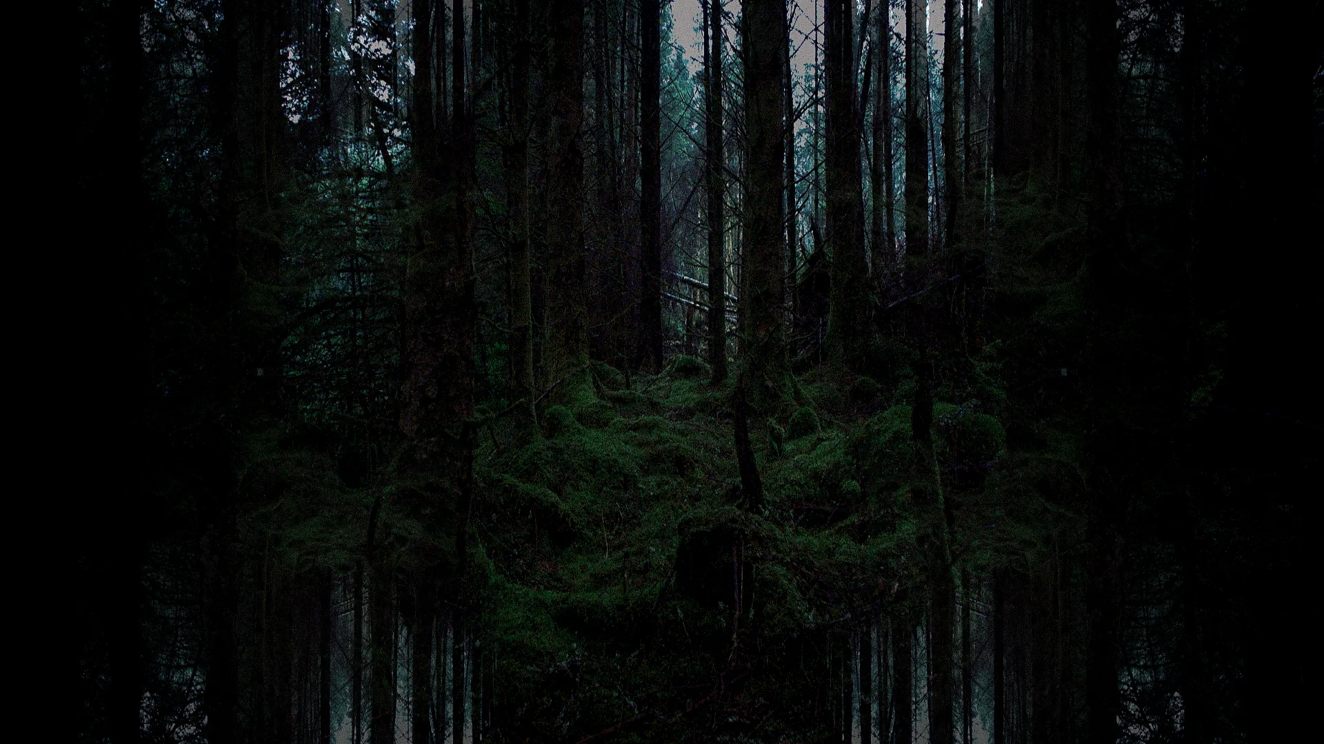 THE AGE OF DIGITAL : ANALOGUE STILL_9.jpg