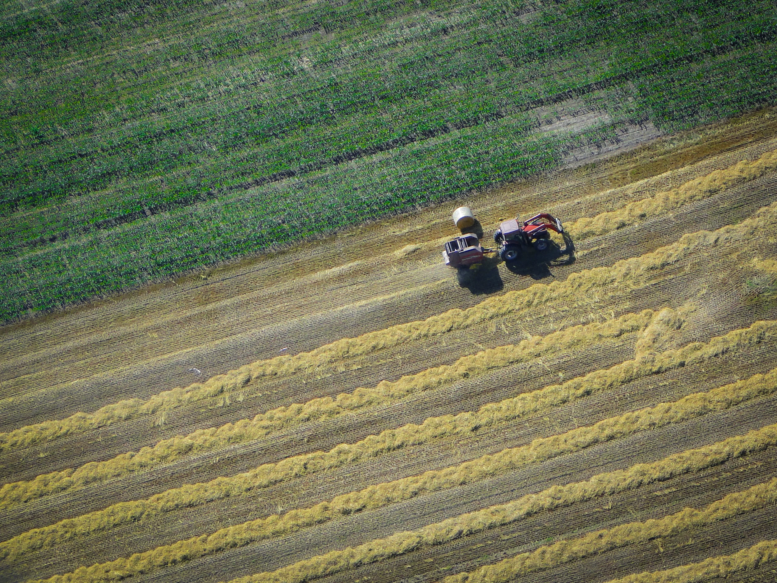 lightroom3-export-00214.jpg